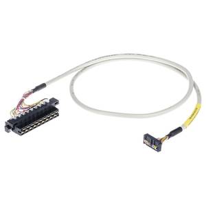 Кабель системы;  для Rockwell Compact Logix;  12 дискретных выходов для высоких напряжений;  Длина: 1 м, Wago # 706-4769/200-100