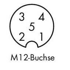 Устанавливаемый съемный соединитель; 5-пол.; Розетка M12, прямая; Пружина, Wago # 756-9212/050-000