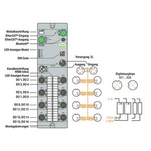 16-канальный дискретный выход; EtherCAT; 24 В постоянного тока / 2,0 А; Соединение 8xM12; WideLine, Wago # 765-1203/100-000